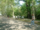 2007_0427_091938AA.JPG