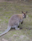 DSCF9081.JPG